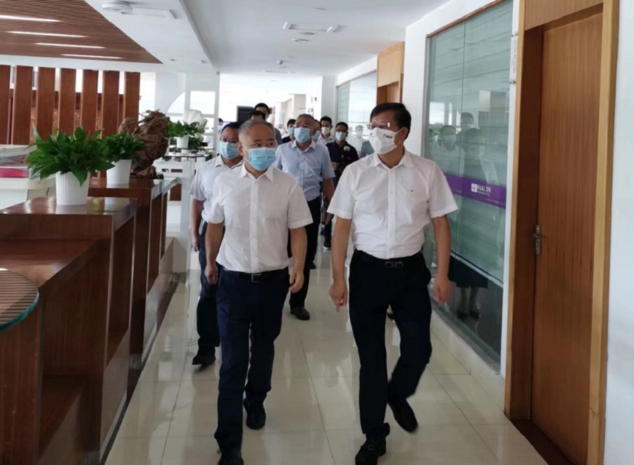 丁暉市長調(diào)研皇隆制藥